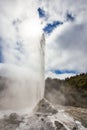 Lady Knox Geyser while Erupting in Wai-O-Tapu Geothermal Area, New Zealand Royalty Free Stock Photo