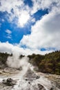 Lady Knox Geyser while Erupting in Wai-O-Tapu Geothermal Area, New Zealand Royalty Free Stock Photo