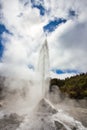 Lady Knox Geyser while Erupting in Wai-O-Tapu Geothermal Area, New Zealand Royalty Free Stock Photo
