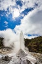 Lady Knox Geyser while Erupting in Wai-O-Tapu Geothermal Area, New Zealand Royalty Free Stock Photo