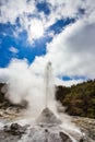 Lady Knox Geyser while Erupting in Wai-O-Tapu Geothermal Area, New Zealand Royalty Free Stock Photo