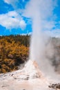 Lady Knox Geyser at Wai-O-Tapu Thermal Wonderland near Rotorua, North Island, New Zealand Royalty Free Stock Photo