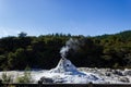 Lady Knox Geyser, Wai-O-Tapu Thermal Wonderland, Rotorua, New Zealand Royalty Free Stock Photo