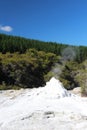 Lady Knox Geyser in Wai-O-Tapu Thermal Wonderland, Rotorua, New Zealand Royalty Free Stock Photo