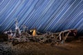 Lady Light Painted on a Ghost Ship With Star Trails on Beach