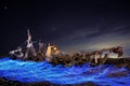 Lady Light Painted on a Ghost Ship With Star Trails on Beach