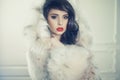 Lady in luxurious fur coat Royalty Free Stock Photo