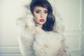 Lady in luxurious fur coat