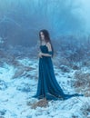 Lady in a luxury lush blue dress Royalty Free Stock Photo