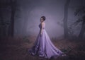 Lady in a luxury lush purple dress Royalty Free Stock Photo