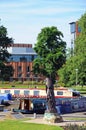 Lady Macbeth and Royal Shakespeare Theatre. Royalty Free Stock Photo