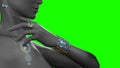 Lady mannequin with ring collar eardrop and wristlet on chroma key screen, isolated, fictional design - object 3D rendering Royalty Free Stock Photo