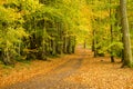 Lady Mary's Walk, Crieff, Scotland, UK