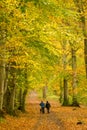 Lady Mary's Walk, Crieff, Scotland, UK