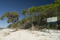 Lady Musgrave Island beach