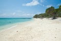Lady Musgrave Island Beach Queensland Australia