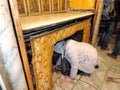 Lady offering prayers at Grotto of the Nativity, Bethlehem Royalty Free Stock Photo