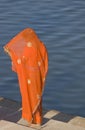 Lady In Orange Sari