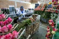 A lady packs roses ready for export at the Hacienda La Compania Roses Plantation near Cayambe in Ecuador. Royalty Free Stock Photo