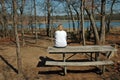 Lady on a Picnic Bench Royalty Free Stock Photo