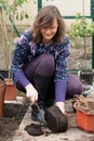 Lady removing a third of the roots, to renew growth in Spring.