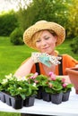 Young woman planting flower seedlings, gardening in spring, planting begonia flowers in pot, smiling woman working in garden