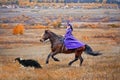 Lady in riding habbit Royalty Free Stock Photo