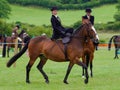 Lady riding side saddle