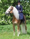 A lady riding side saddle Royalty Free Stock Photo