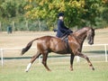 Lady Riding Side Saddle