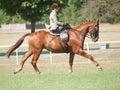 Lady Riding Side Saddle