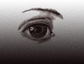 Lady`s eye decorative element in black on blurred grey white background. Illustration, vector, web design, eyesight, vision.