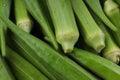 Lady\'s finger or Okra Royalty Free Stock Photo