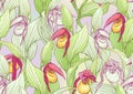 Lady's slipper orchid, Cypripedioideae, Seamless pattern, background.