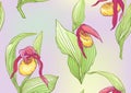 Lady's slipper orchid, Cypripedioideae, Seamless pattern, background.