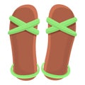 Lady sandals icon, cartoon style