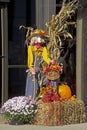 Lady Scarecrow, hay bales, pumpkins, and colorful mums.