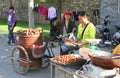 Lady selling hot chestnuts Royalty Free Stock Photo