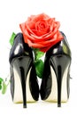 Lady shoes and red rose