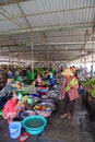 A lady shopper carrying vegetables looks at fish in the covered market, in Can Tho, Vietnam