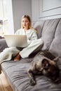 Professional woman focused on laptop screen near sleeping dog Royalty Free Stock Photo