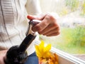 Lady sitting on the windowsill opens a bottle of wine with a corkscrew. Royalty Free Stock Photo