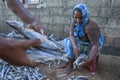 A lady sorting dried fish in Sri Lanka.