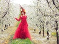 Lady Spring in the cherry orchard Royalty Free Stock Photo