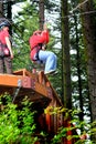 Lady Starting on a Zipline Royalty Free Stock Photo