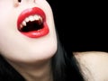 Lady-vamp Royalty Free Stock Photo
