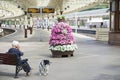 Lady waiting for train arrival sat on bench with dog inside victorian railway station in Wemyss Bay Uk