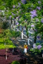 A lady walking under Purple jacaranda tree blooming in Sping sunny day