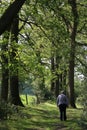 Woman walking on woodland footpath in Spring Royalty Free Stock Photo
