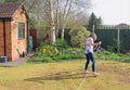 Lady watering in grass seed, to repair a lawn damaged by chaffer grubs.